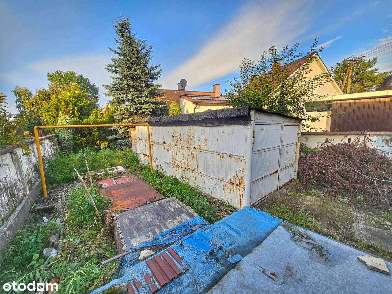 Tylko gotówka, Dąbrowa Narodowa, mały domek, z małą działką-1