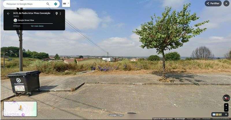 Excelente Lote Construção 696m2 Branca - Grande imagem: 4/4