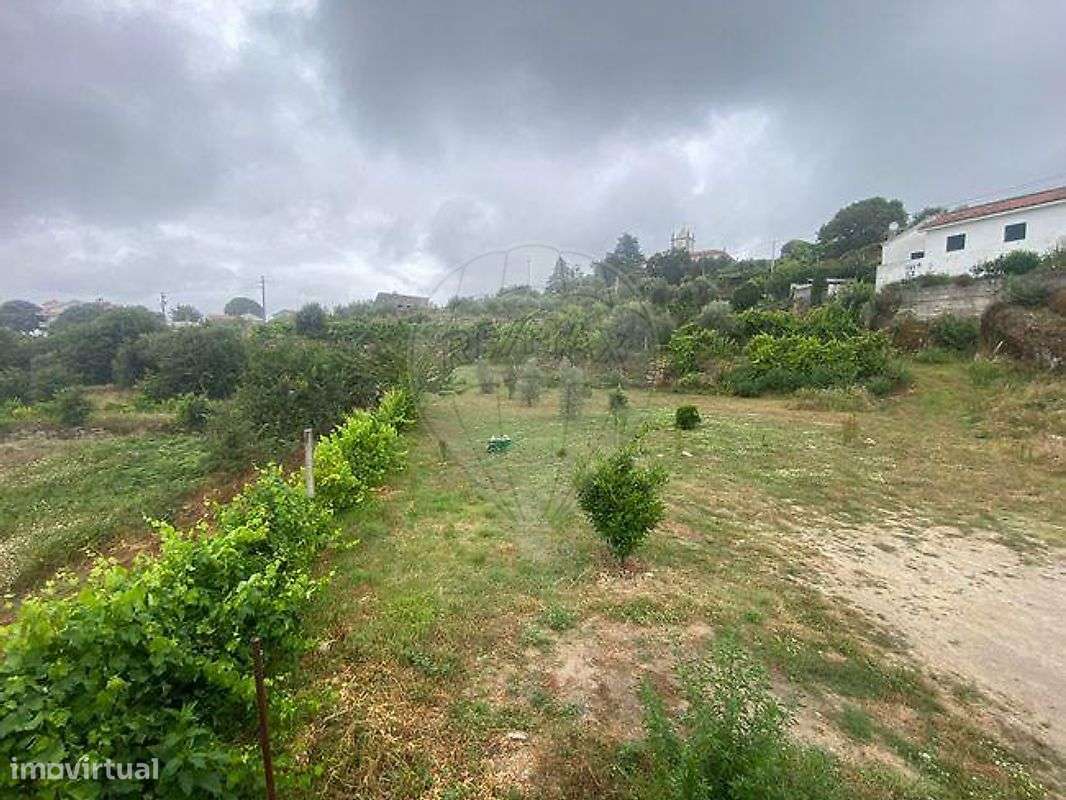 Moradia T1 para arrendamento - Grande imagem: 4/10