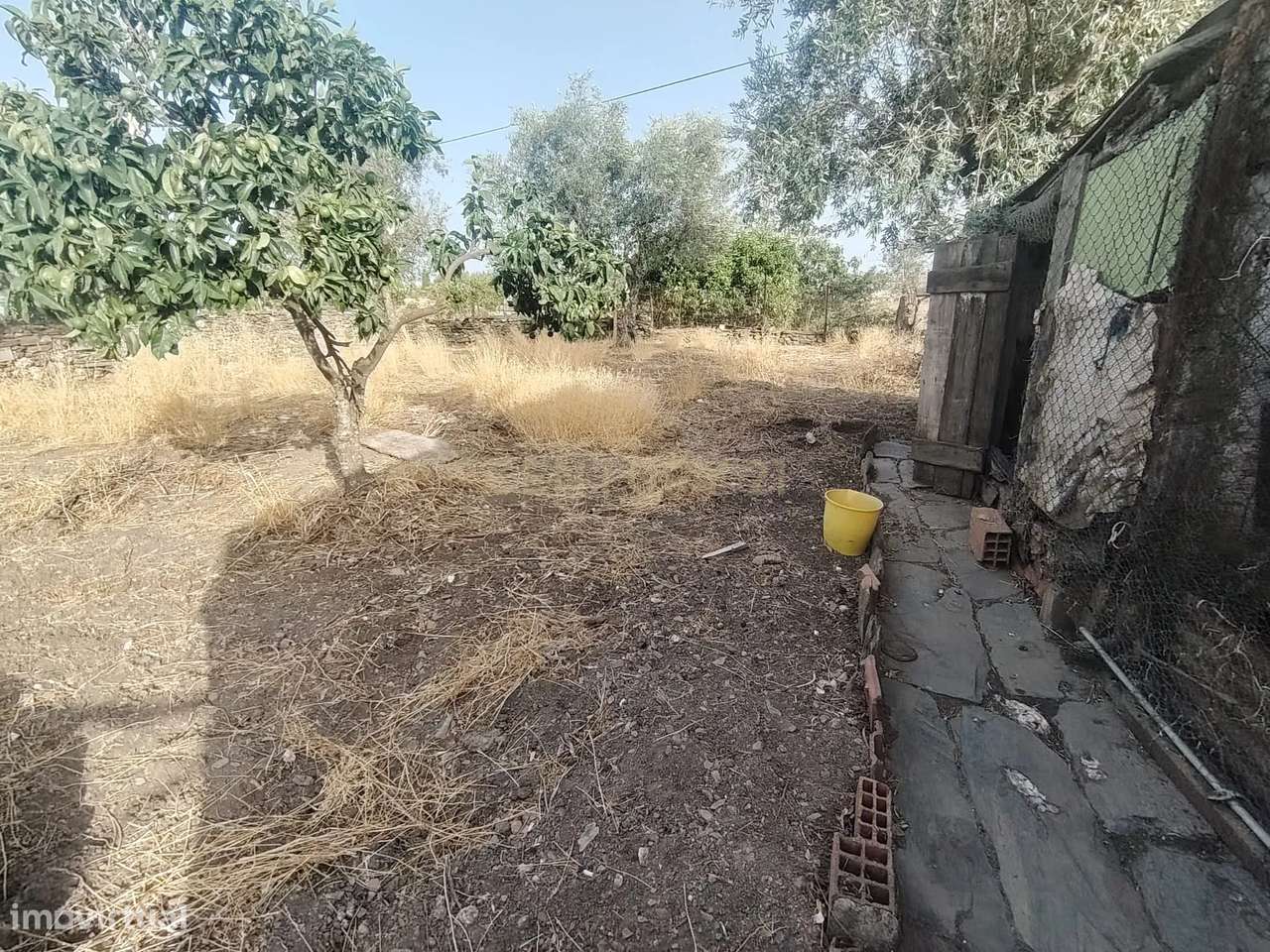 Oportunidade de negócio em Sarnadas de Rodão, Vila Velha de Ródão-12