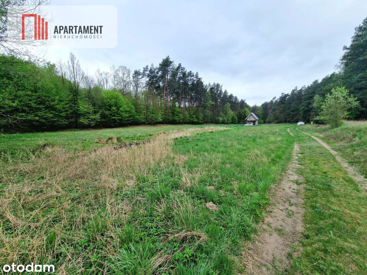 Gospodarstwo w głuszy! Las! Rzeka! - Pełny obrazek: 3/9