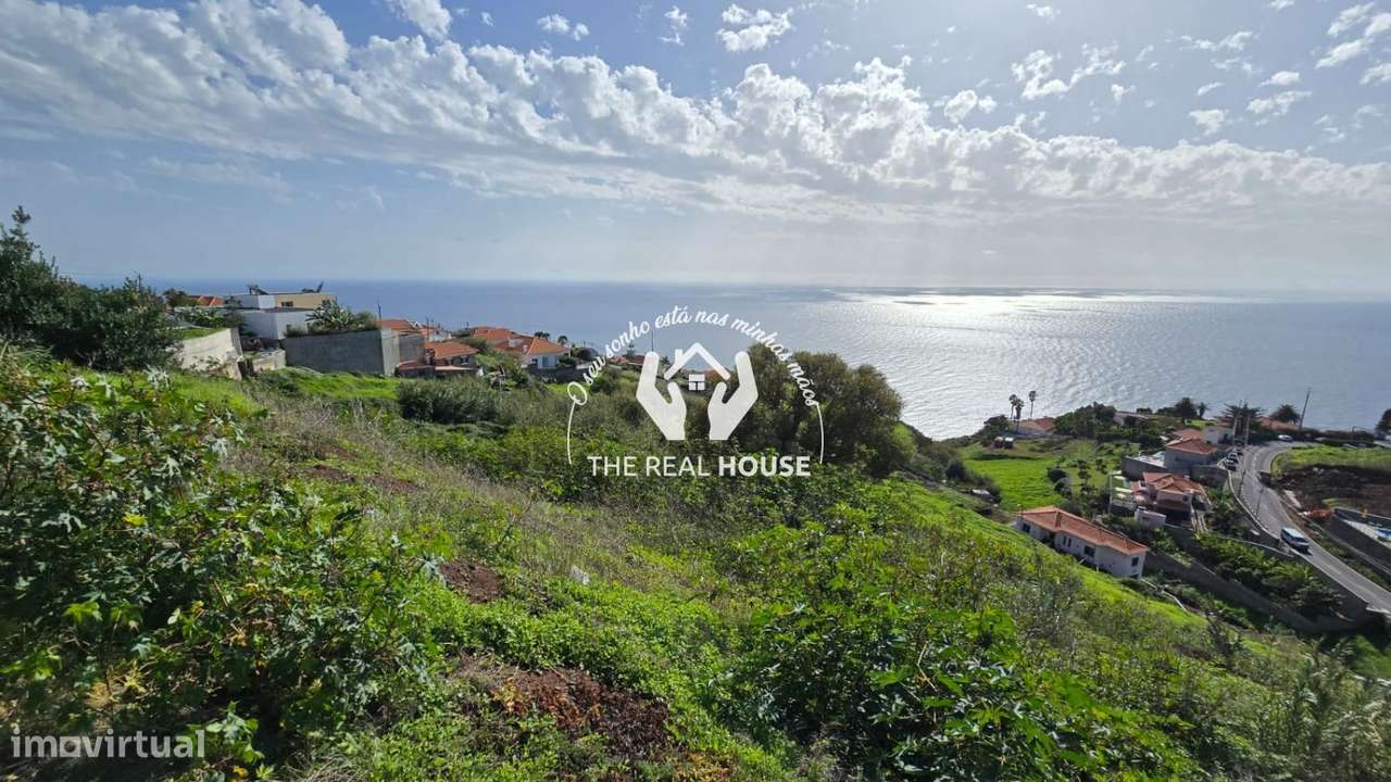 TERRENO VISTA MAR CALHETA-1