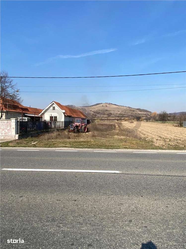 RECO  Teren intravilan in  Uileacul  de Cris 3544mp - Imagine principală: 3/4