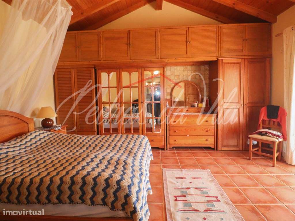 Quinta com 6,5ha em Vale Juncal - São Teotónio-13