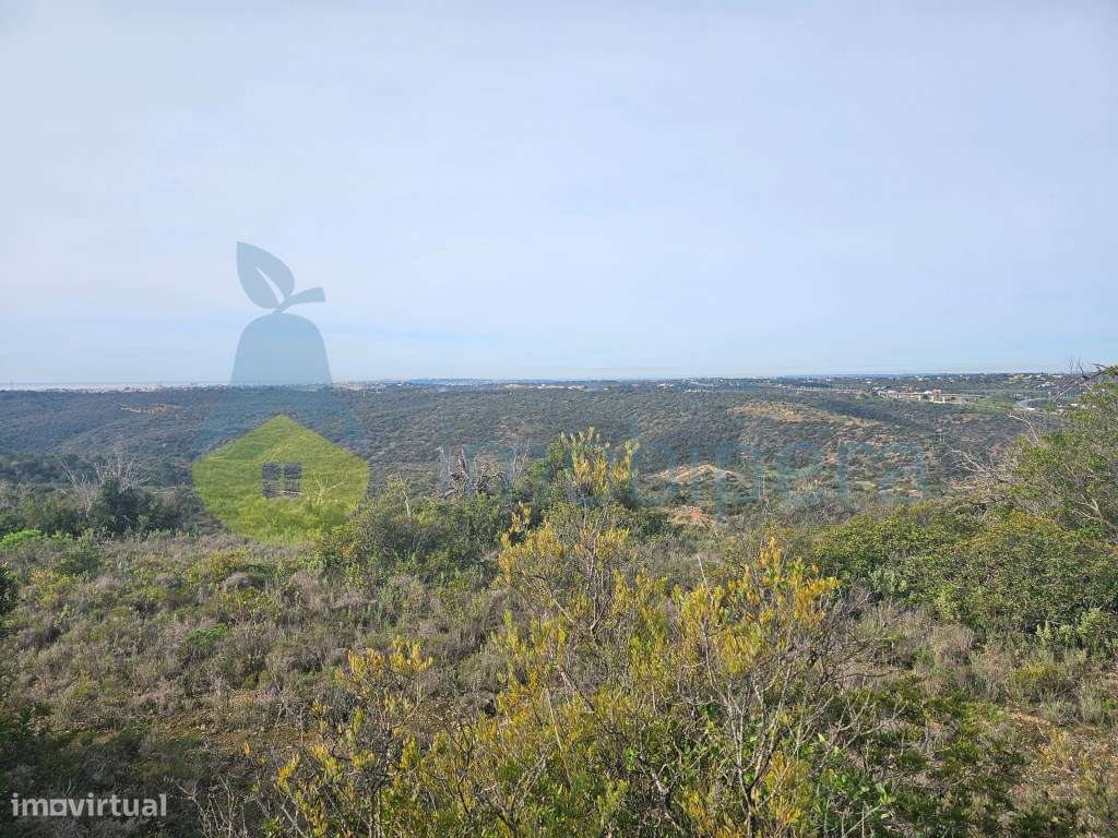 Terreno Rústico, com ruina não registada, em local muito calmo, bom... - Grande imagem: 5/34