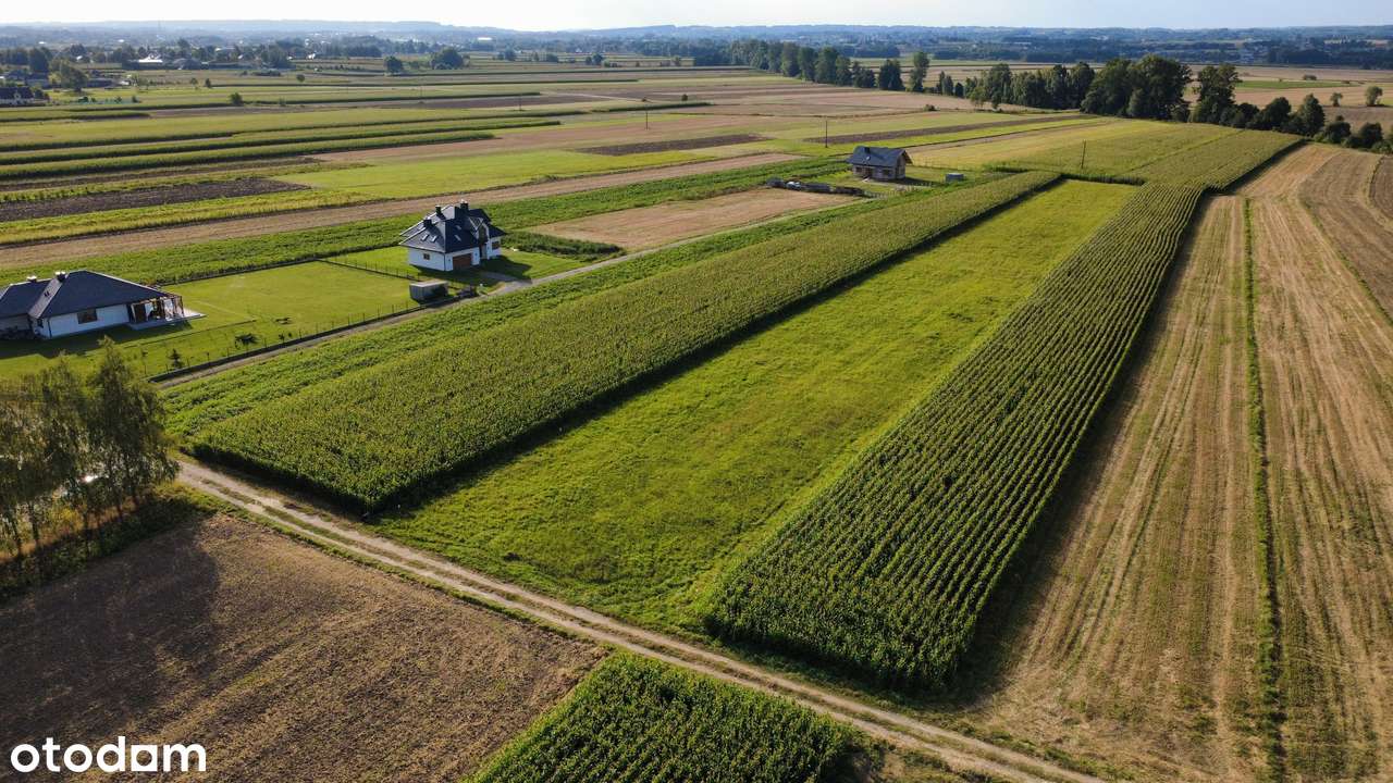 DZIAŁKI BUDOWLANE Z WZ Sędziszów Małopolski ul. Zielna - Pełny obrazek: 4/6
