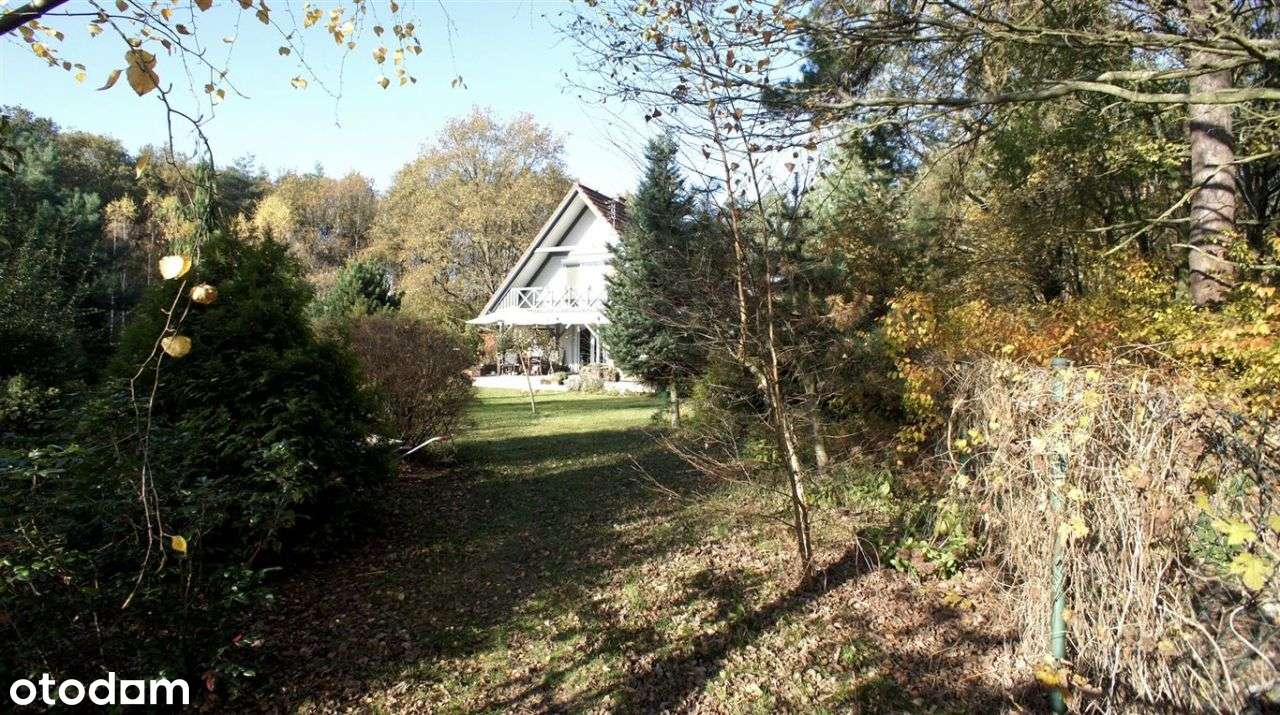 Piękny dom w lesie.., Dabcze-6