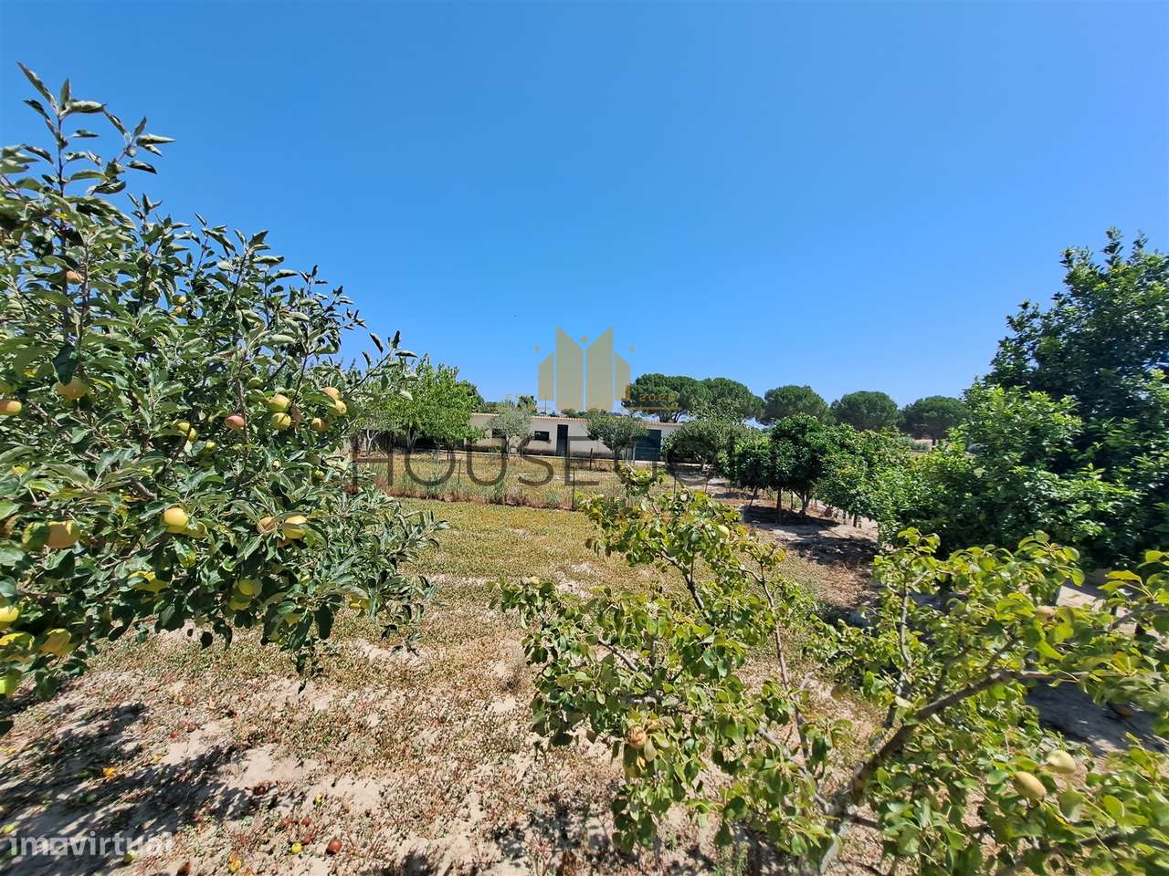 Moradia T3 em Marinhais (MR-227)-50