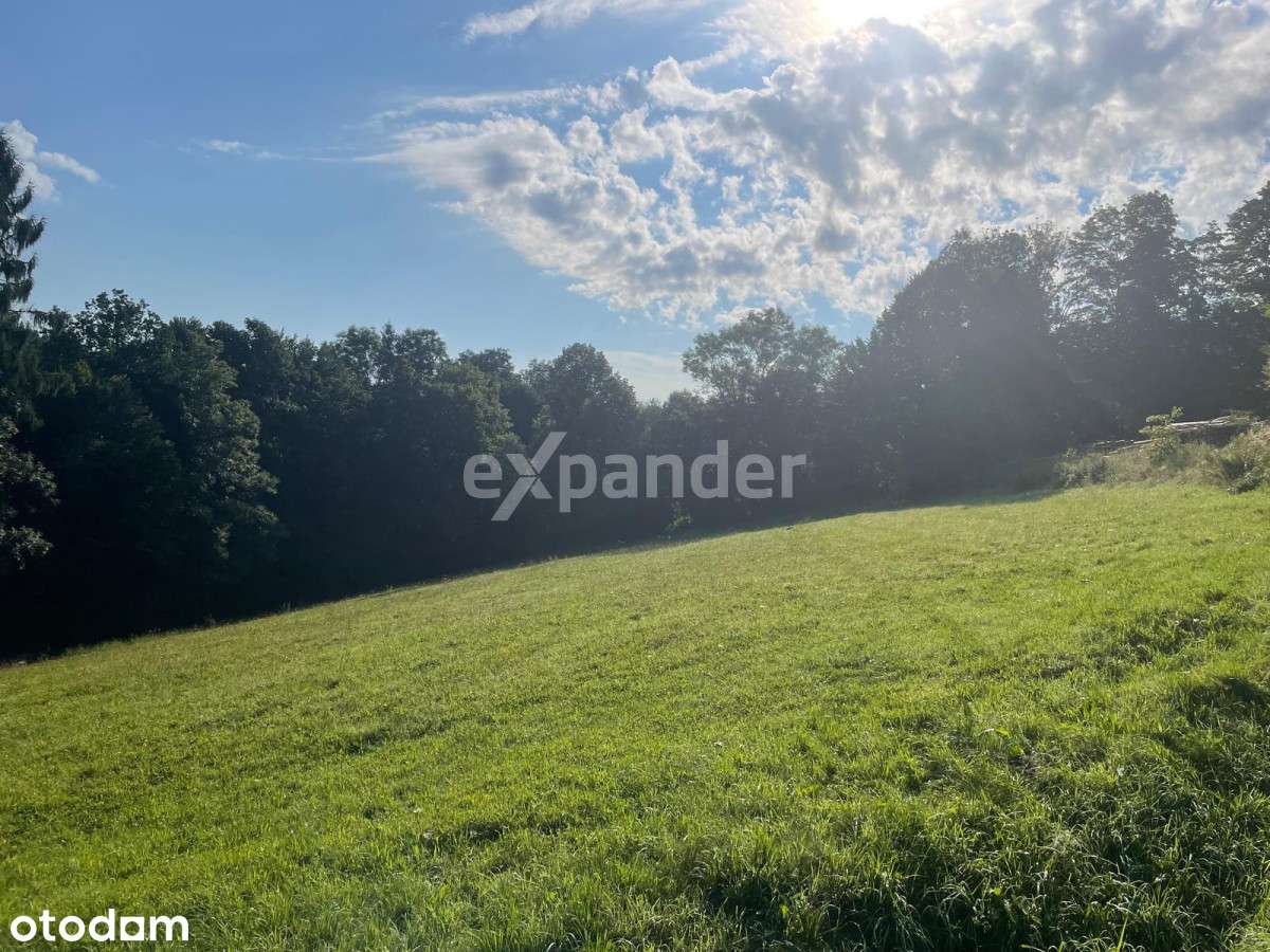 Widokowa działka z Pnb dom jednorodzinny/las - Pełny obrazek: 4/8