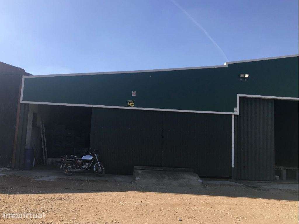 Estremoz Évora herdade 4ha com armazém de 600m2. Bom Investimento-12