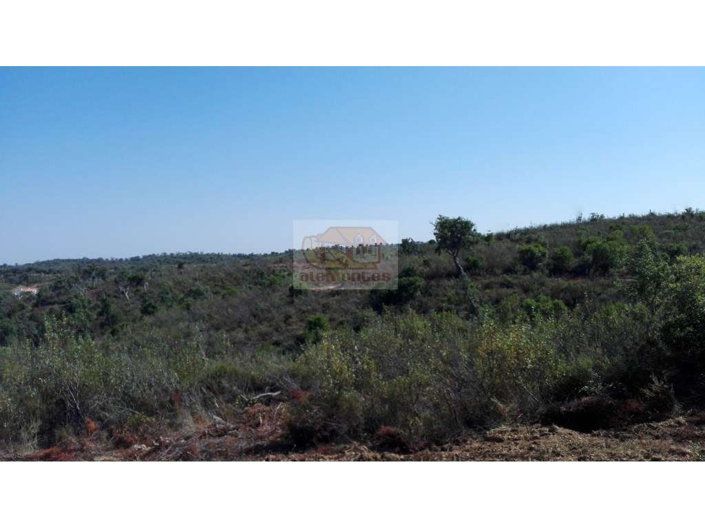 Terreno para Turismo a 20 minutos das praias da Costa Vicentina - Grande imagem: 4/12