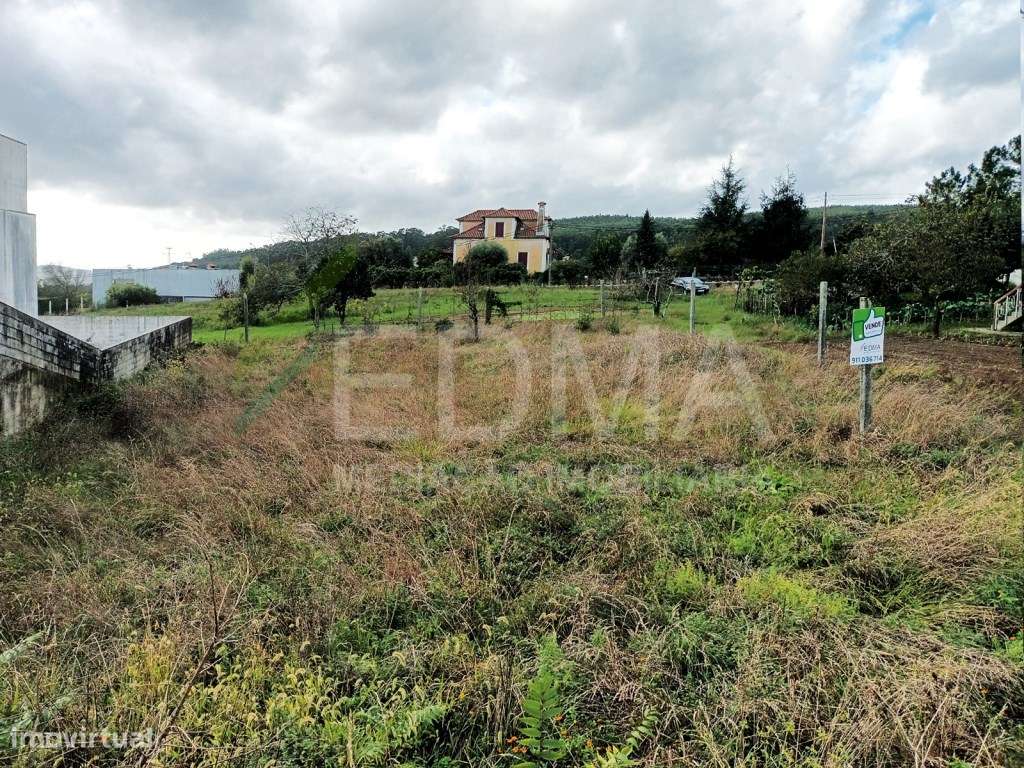 Magnifico terreno de Construção - Cruz - Grande imagem: 5/12