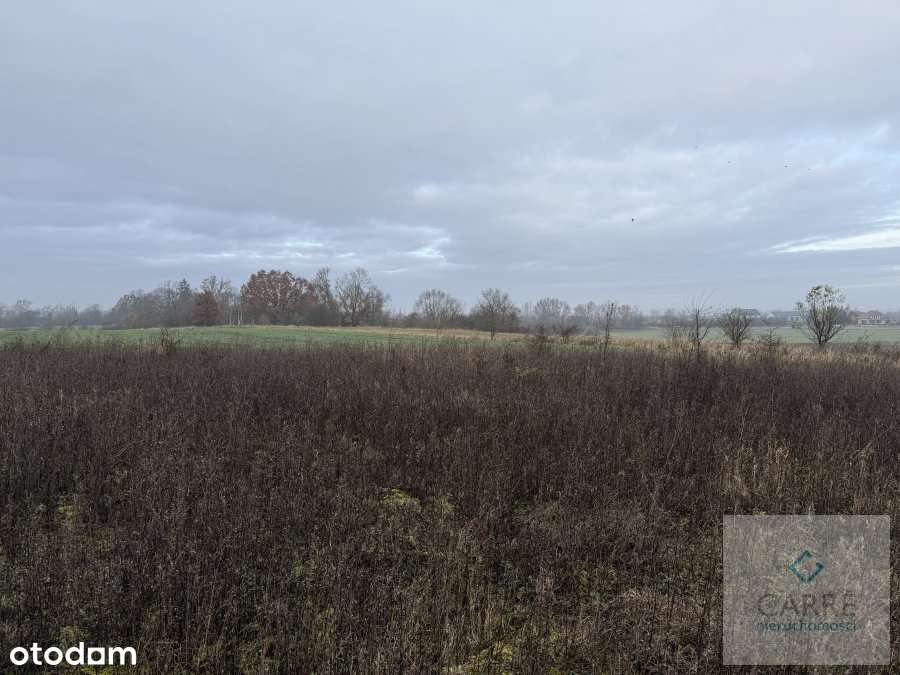 Działka w Warzymicach.-3