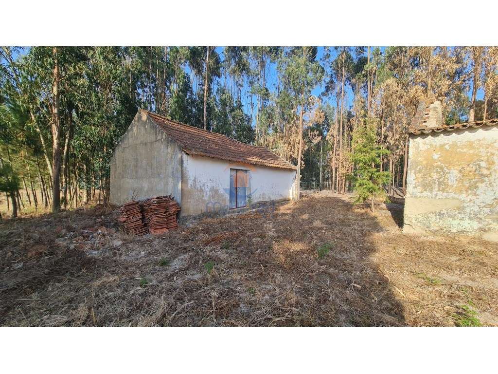 Casa e Adega com 4.200 m2 de terreno | Maxial, Torres Vedras - Grande imagem: 2/7