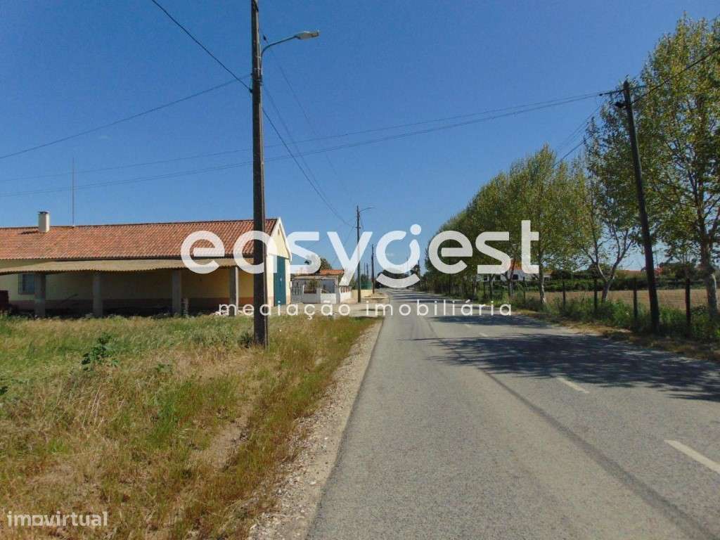 Excelente Terreno Misto com viabilidade de construção em Salvaterra - Grande imagem: 5/20