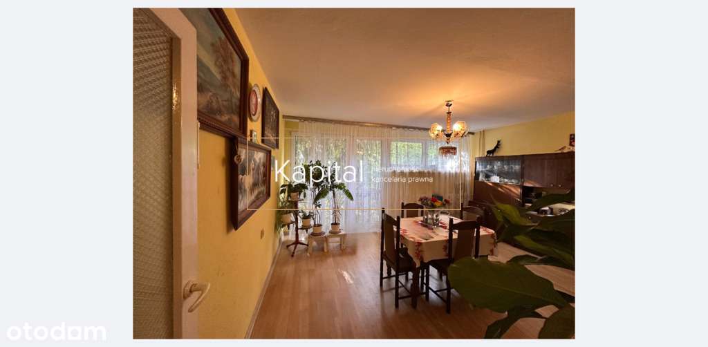 Osobna kuchnia, centrum, zielono, słoneczne;-9