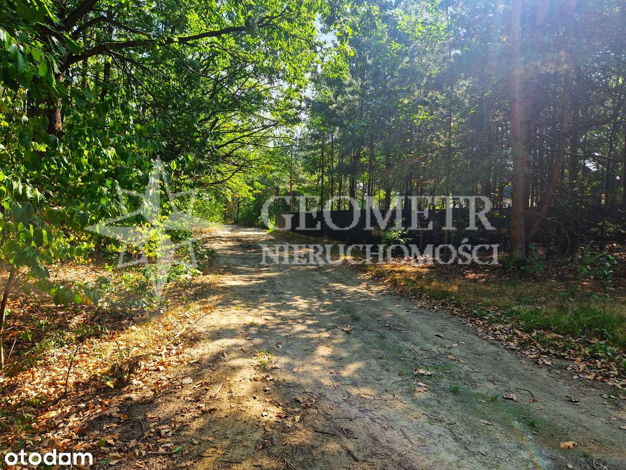 Działka w  Jabłonnie na granicy z lasem - Pełny obrazek: 5/10