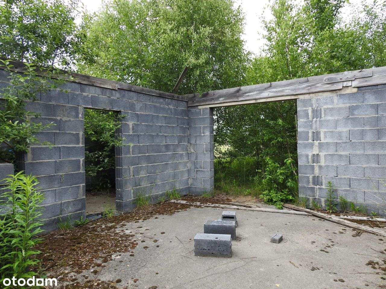 ✅ Duża działka budowlana w spokojnej okolicy - Pełny obrazek: 5/8