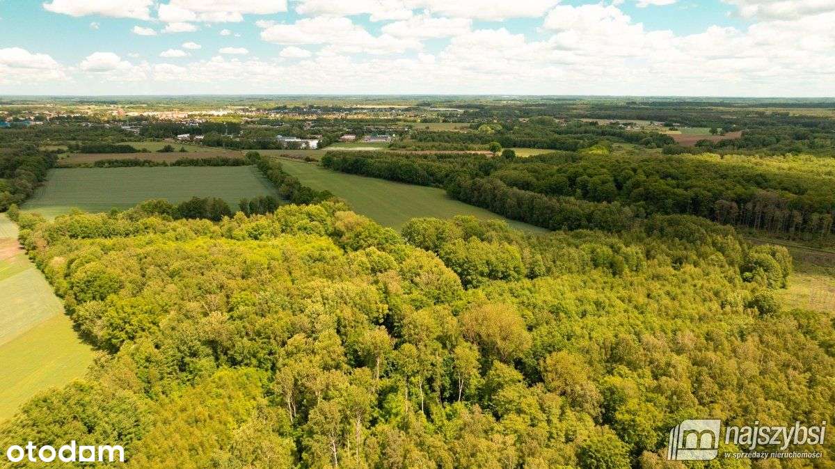 Nowogard -Ziemia Inwestycyjna Z Planem 3,64 Ha - Pełny obrazek: 5/10