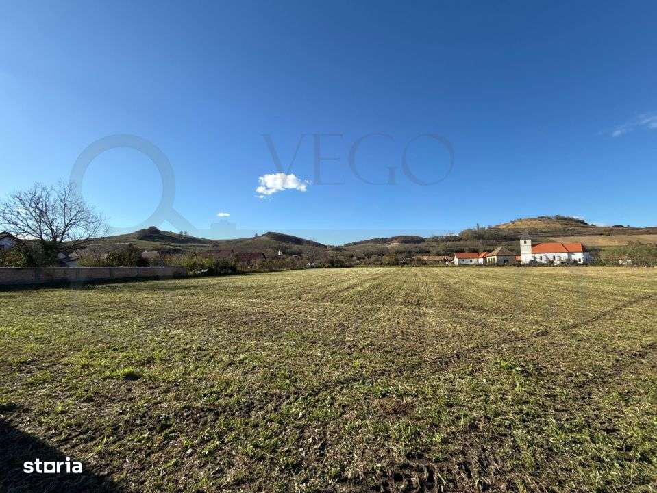 Teren intravilan de vanzare in Alma jud. Sibiu – 7.342 mp - Imagine principală: 2/4