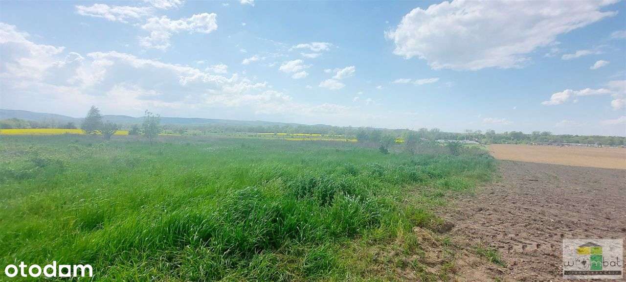 Działka inwestycyjna na obrzeżach miasta Świdnica - Pełny obrazek: 4/5