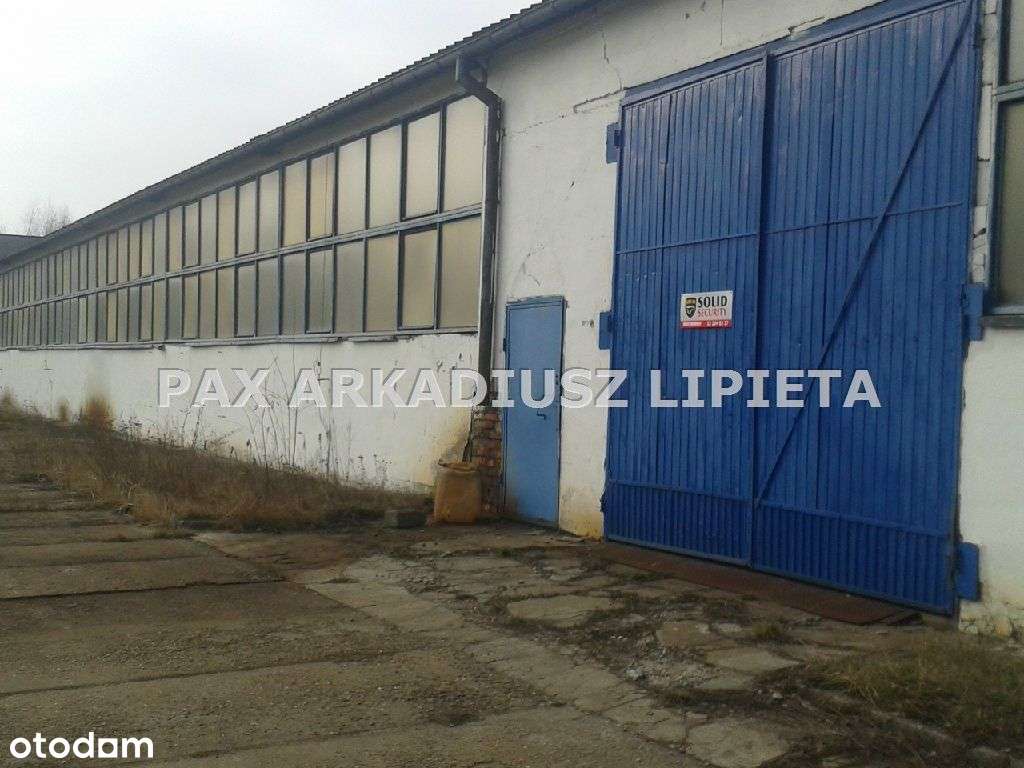 Działka, 22 000 m², Tarnowskie Góry-3