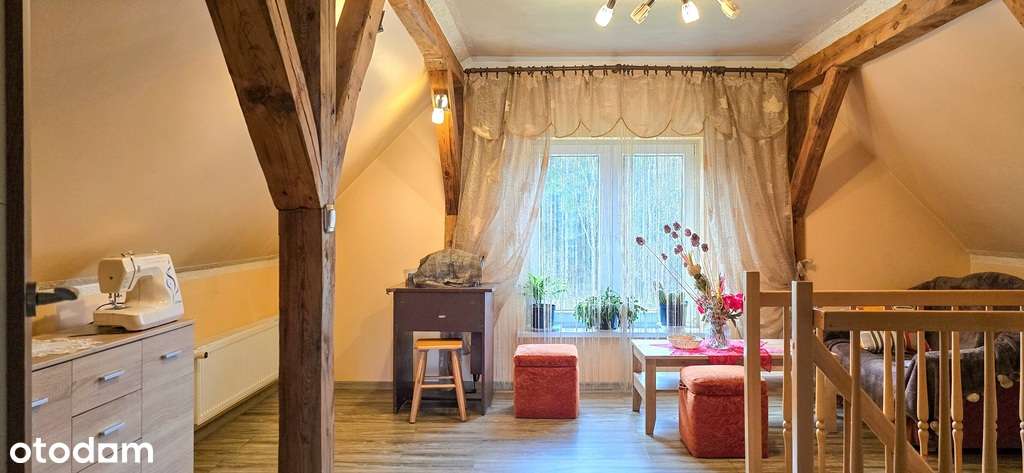 Dom w otoczeniu przyrody, Borki- działka 8497 m2-3