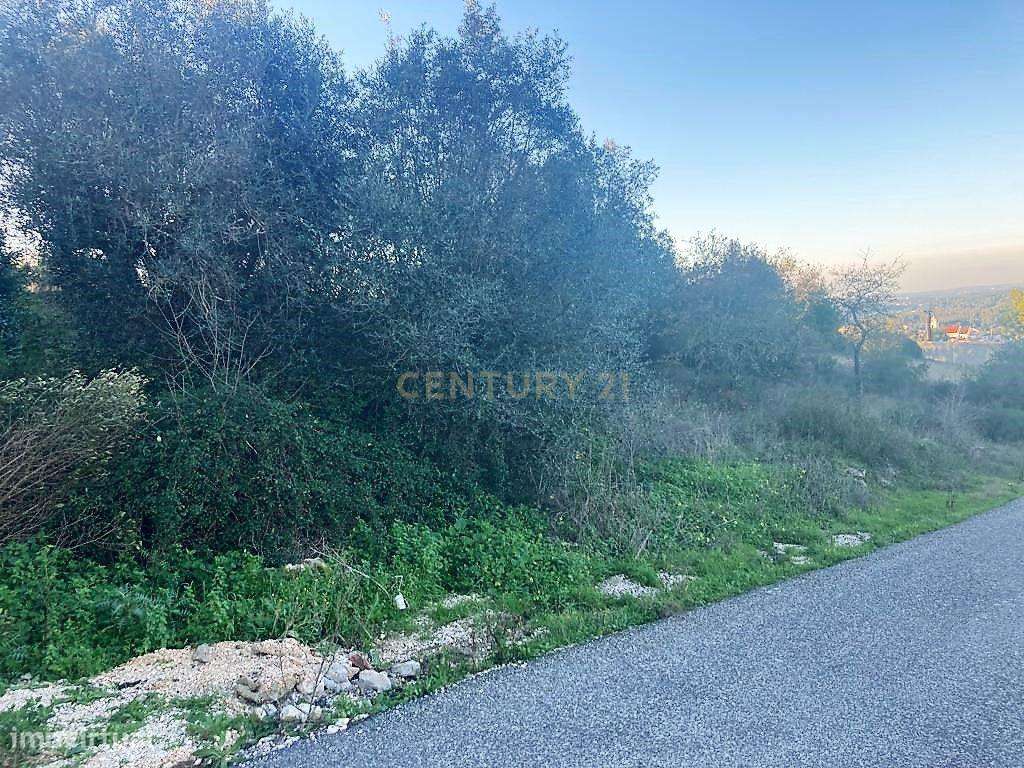 Construir uma ou várias moradias na Lagoa, Arrabal - Grande imagem: 4/6