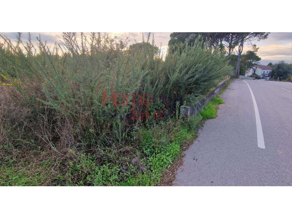 Terreno Rústico com viabilidade de construção, Silgueiros. Viseu - Grande imagem: 5/14