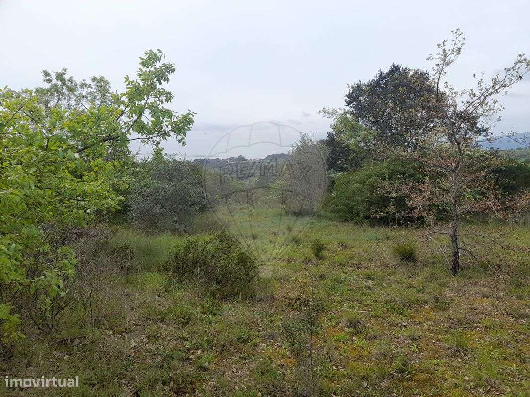 Terreno  para venda - Grande imagem: 5/22