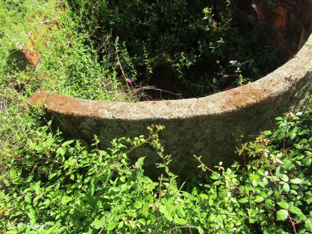 P26-238 Casal da Loba - Terreno Urbanizável no Centro de Portugal e...-27