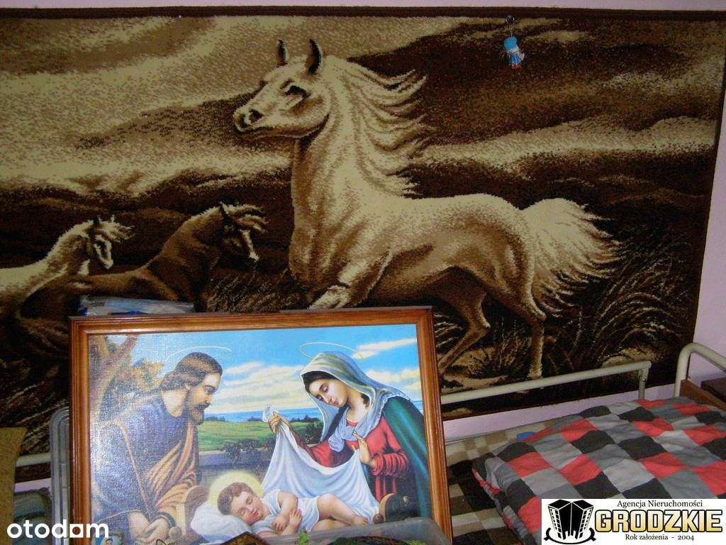 Niewielki dla emeryta lub rodziny-13