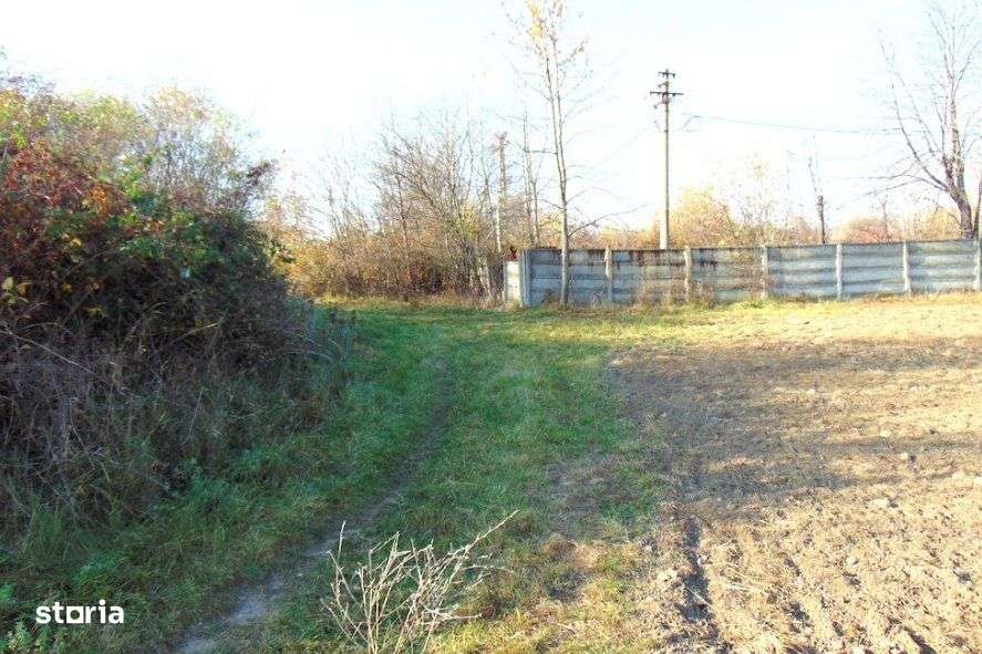 Teren intravilan curti-constructii 8500 mp ~ Onesti ~ Bacau - Imagine principală: 3/3