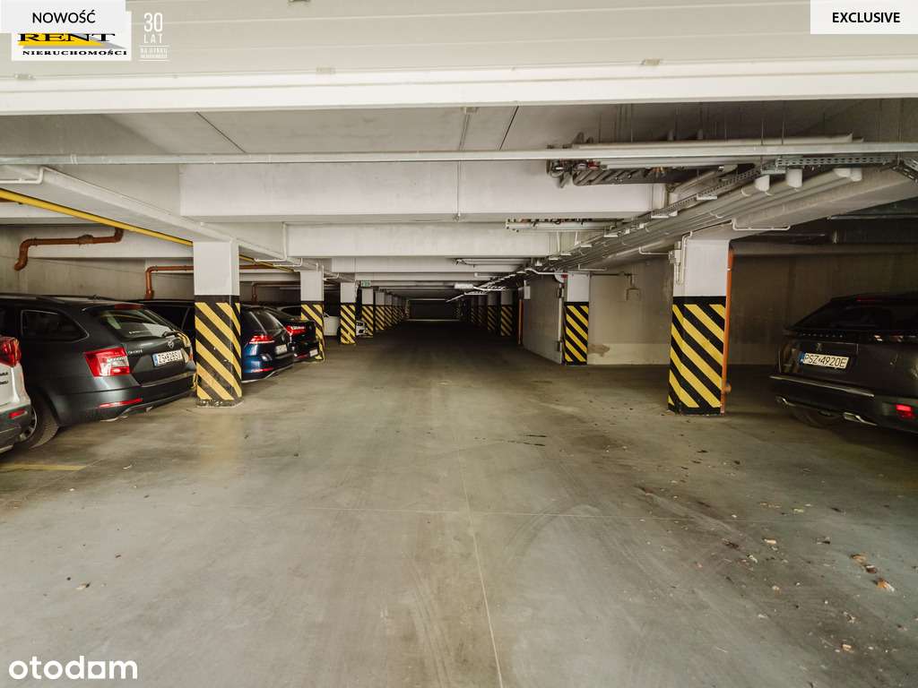 Apartament w środku nadmorskiego lasu-17