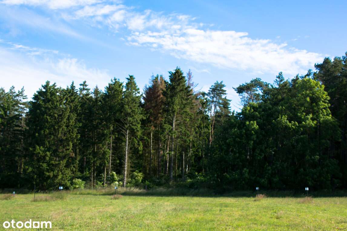 6 minut od plaży - spacerkiem przez las-5