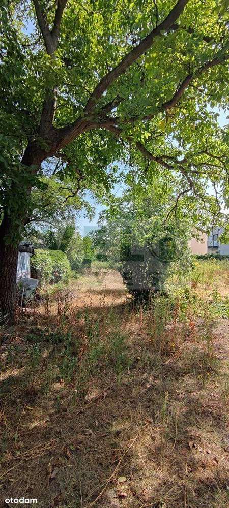 4 działki budowlane na Woli. - Pełny obrazek: 5/6