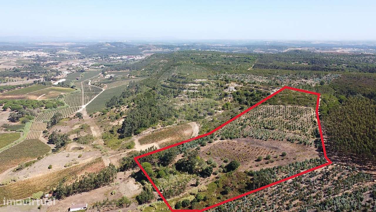 Terreno  para venda - Grande imagem: 4/21