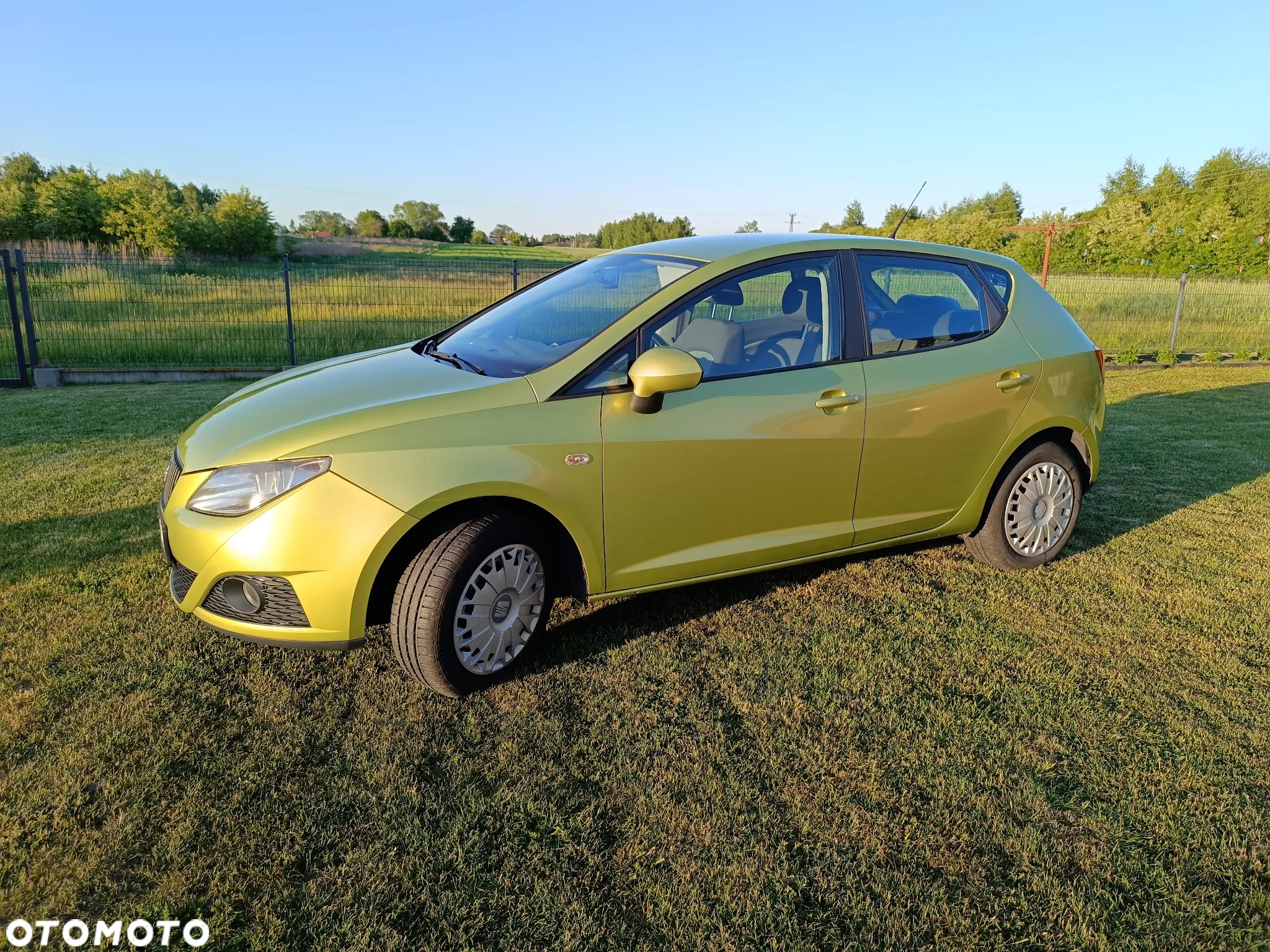 Seat Ibiza - 6