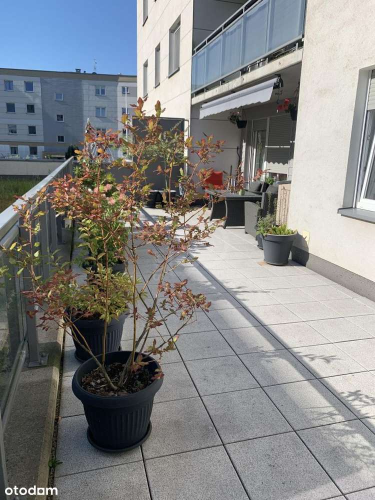 3 pokoje+taras 42m2 Olimpia Port-15