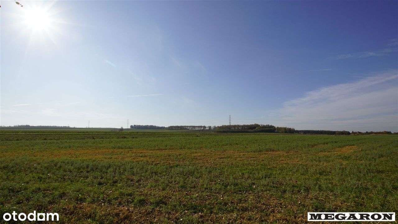 Działka, 29 229 m², Jaworzno - Pełny obrazek: 4/5