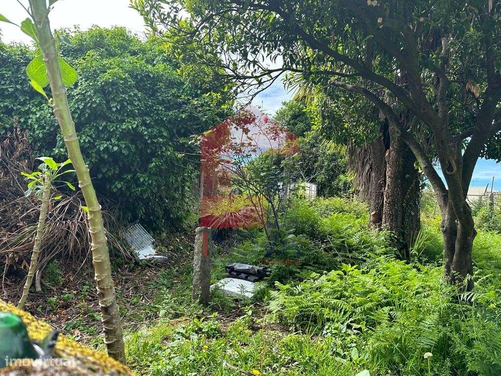 Terreno construção em altura, Vila Verde - Grande imagem: 4/7