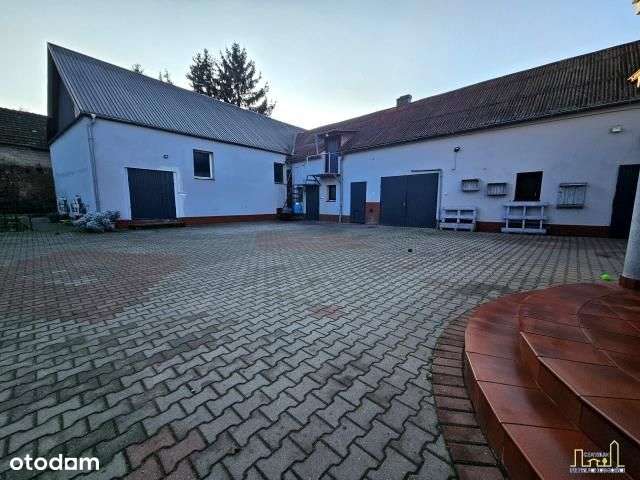 Duży Potencjał, Możliwość Prowadzenia Biznesu!-13