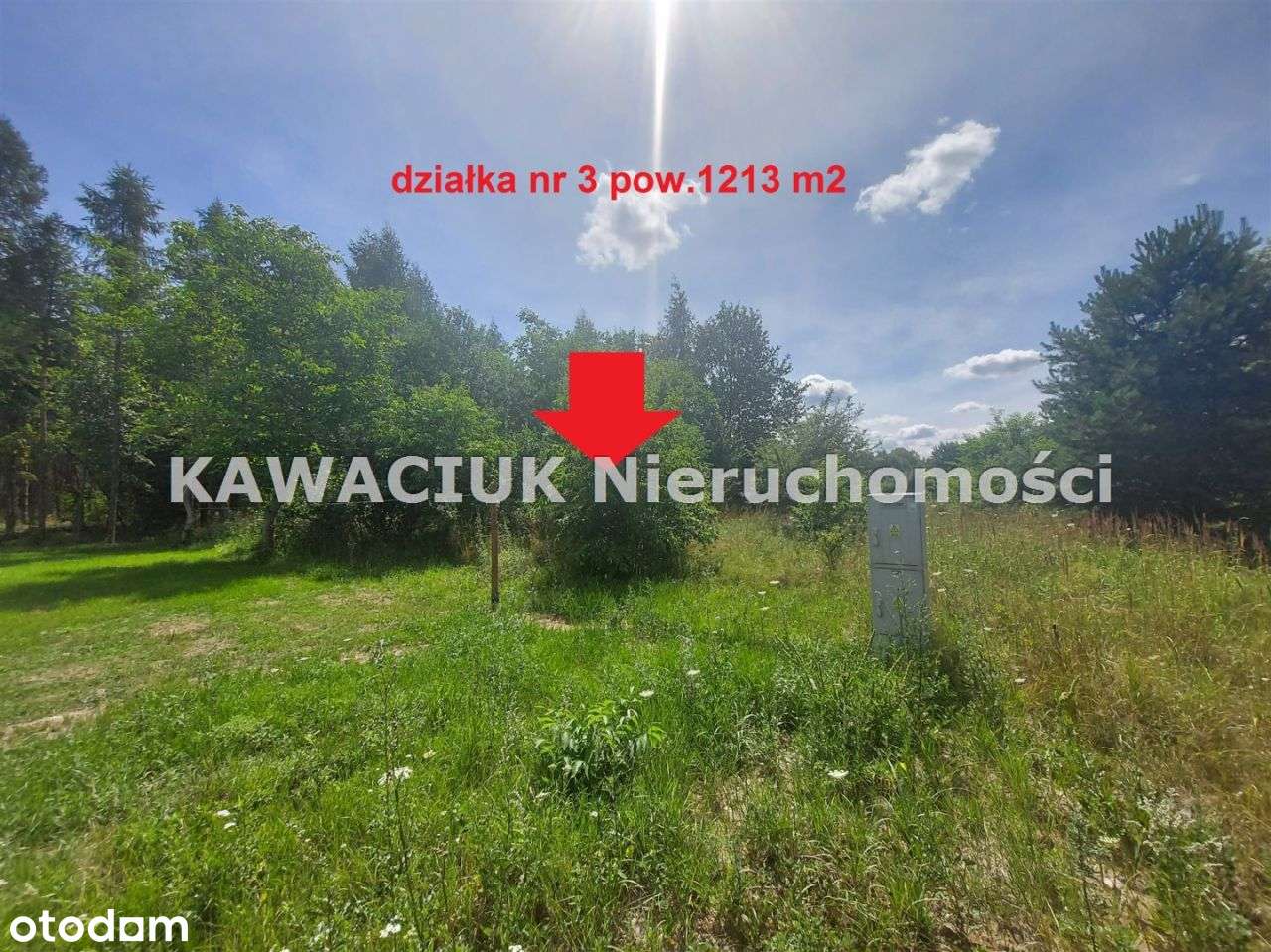 Działka w Tomaszowie Mazowieckim - Pełny obrazek: 5/6