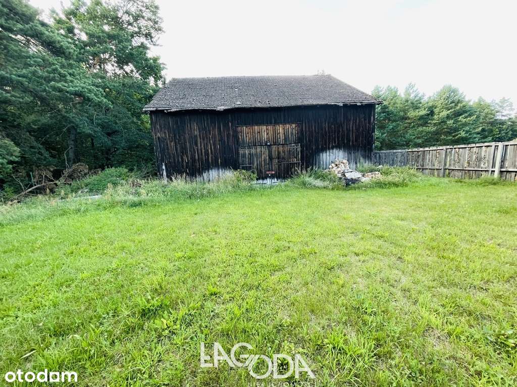 Na sprzedaż działka budowlana przy lesie - Kłodawa - Pełny obrazek: 4/6