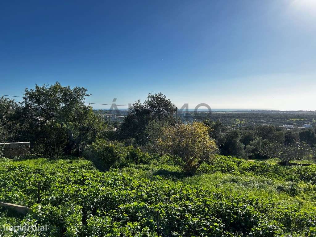Terreno para construção de moradia com piscina - Boliqueime - Grande imagem: 2/12