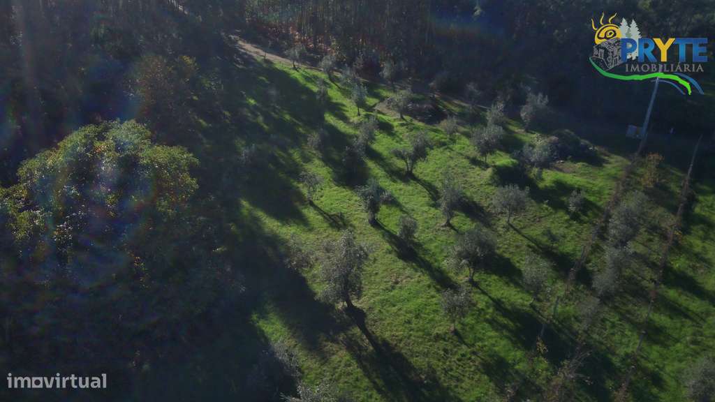 Propriedade composta por uma habitação para reconstrução-8