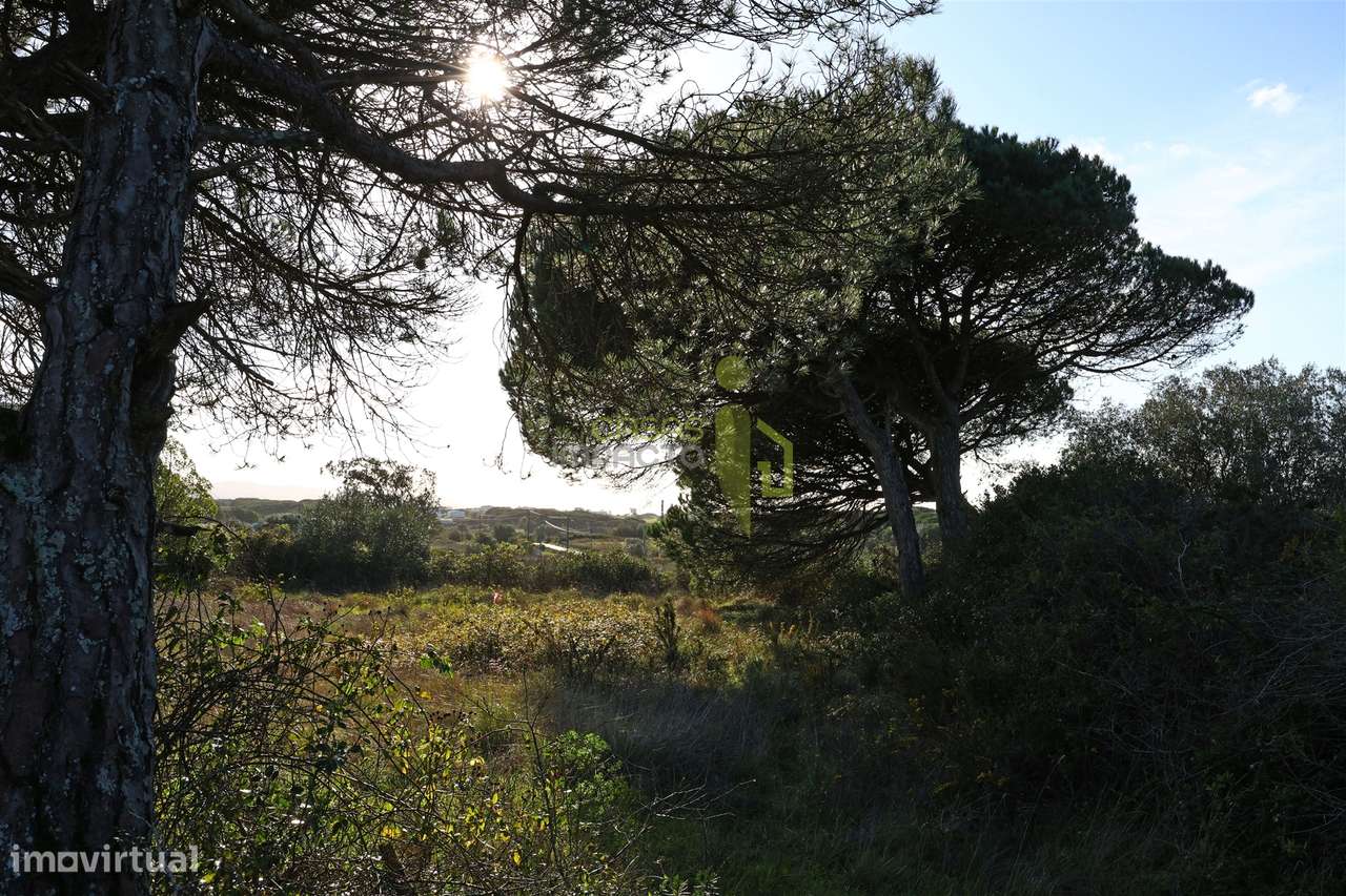 Terreno Rústico com 4.680m2 a venda na Terrugem-9