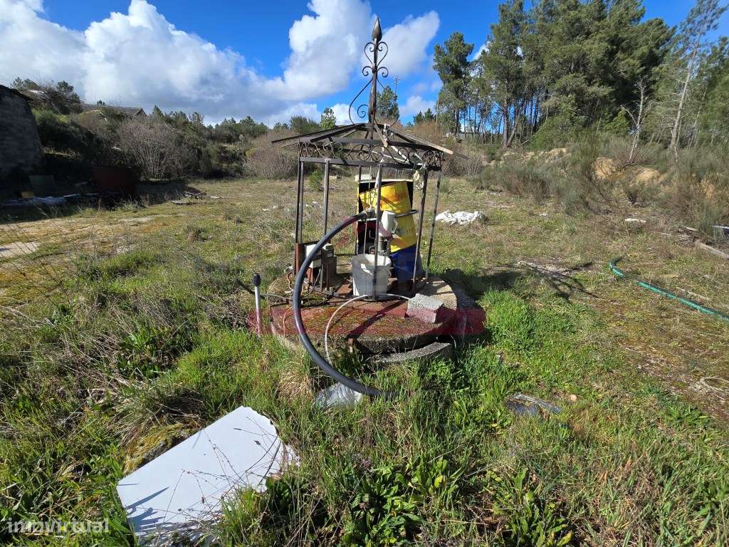 Armazém Industrial - Sernacelhe - Viseu - Grande imagem: 5/20