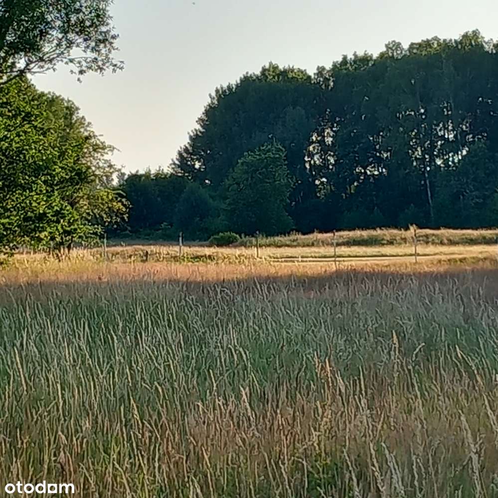 Skraj małej wsi, sąsiedztwo pola golfowego, media obok, droga gminna-8