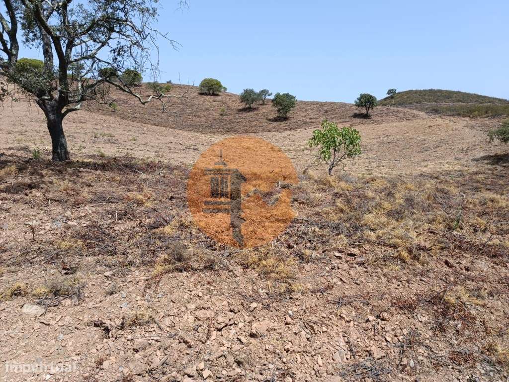 TERRENO RÚSTICO COM 16.880 m2 - COM ÁRVORES - FONTE - CASTRO MARIM ... - Grande imagem: 3/54